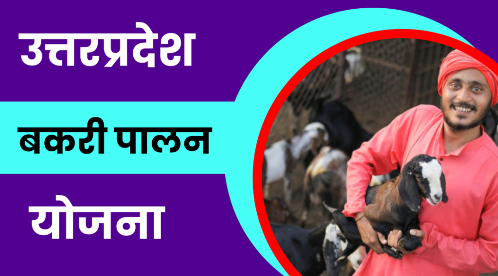 Up Bakri Palan Yojana 2024