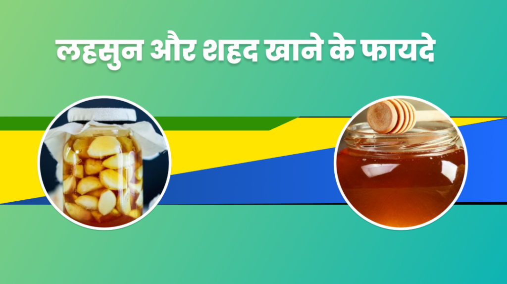 लहसुन और शहद खाने के फायदे क्या होते है जाने पूरी जानकारी| Lahasun Aur Shahad Ke Phaayade